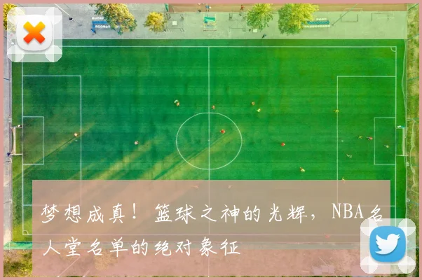梦想成真！篮球之神的光辉，NBA名人堂名单的绝对象征