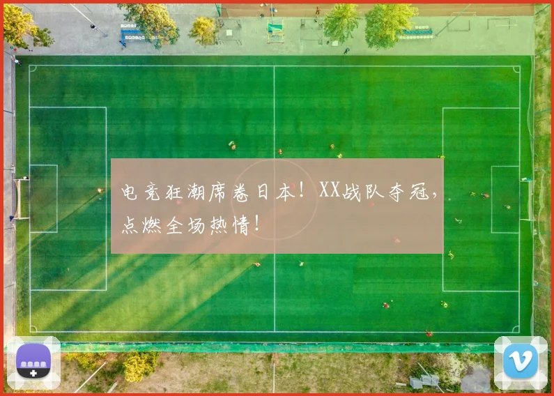 电竞狂潮席卷日本!XX战队夺冠,点燃全场热情!